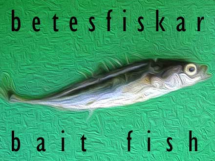 Betesfiskar