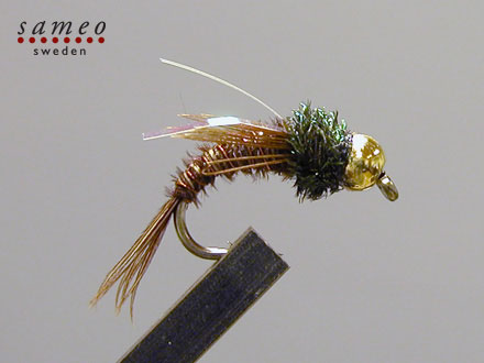 Swimming Pheasant tail Goldhead