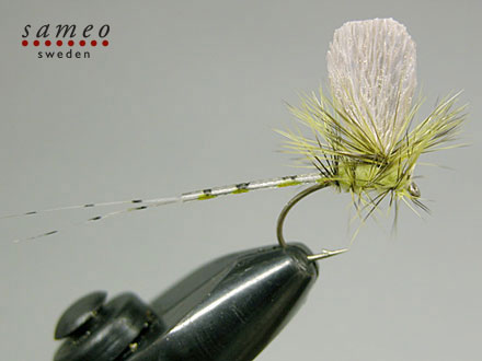 Mayfly dun green drake