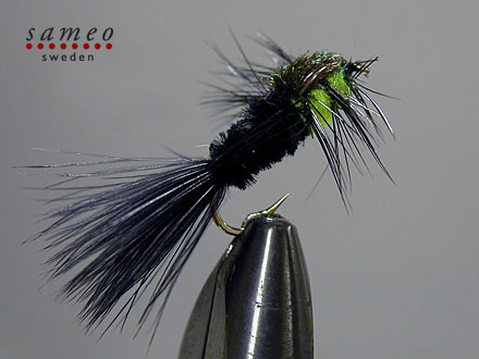 Montana Marabou