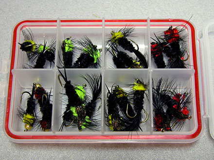 Collection - Montana