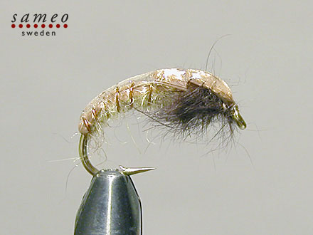 Rock Caddis (Oliv)