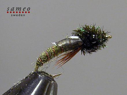 Caddis Pupa