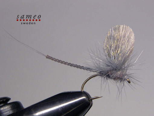 Mayfly blue dun