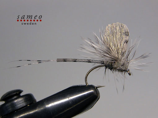 Mayfly dun