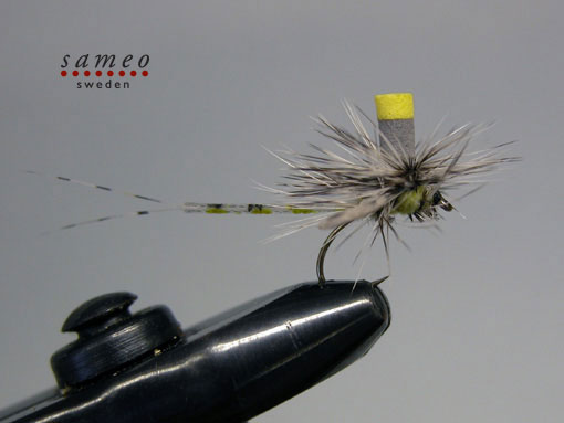 Mayfly spent green drake