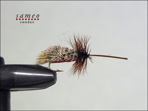 Goddard Sedge Special