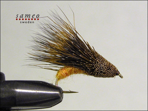 Streaking Caddis