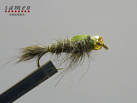 Harra Goldhead