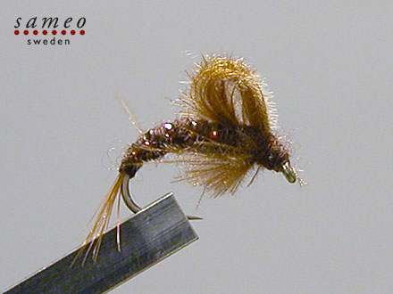 CDC Emerger