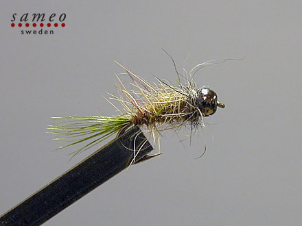 Super grayling  Tungsten