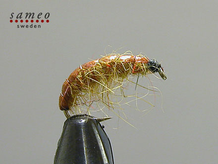 Emin Rhyacophyla Teaser