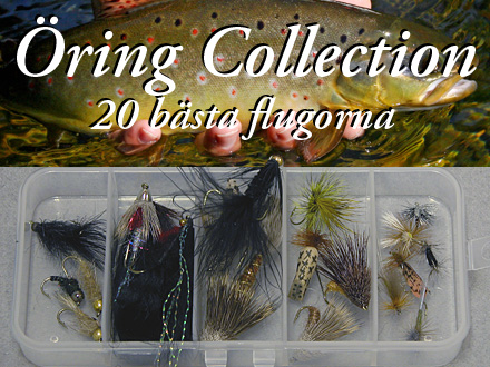 Collection - ring