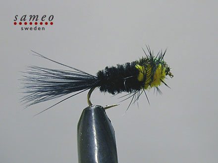 Montana Marabou