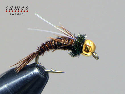 Swimming Pheasant tail Tungsten