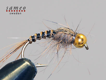 Czech Mayfly