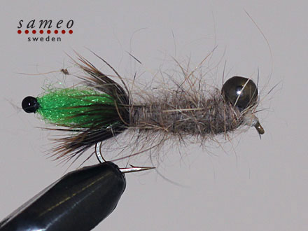 Peeping Caddis green tail