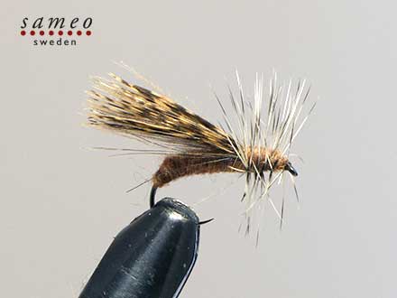 CDC Partridge Caddis