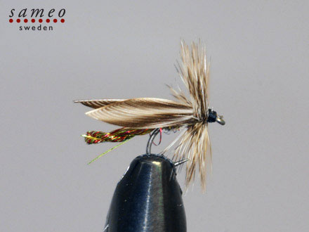Wonder Winged Gnat