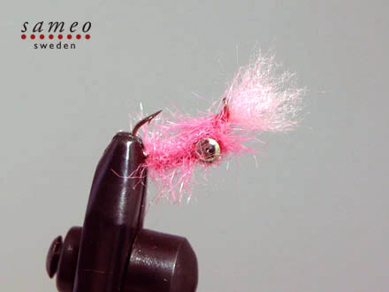 Pimp shrimp pink