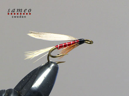 Red Spinner Winged