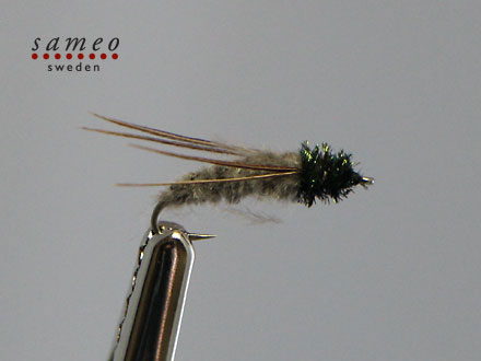 Caddis puppa