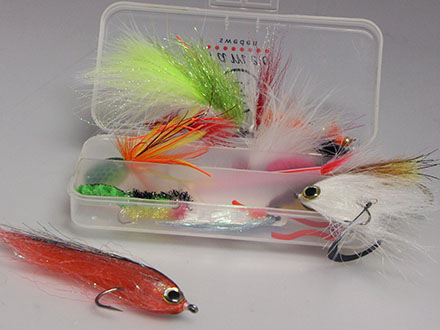 Collection Abborre