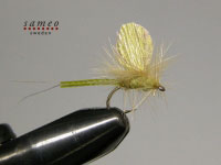 Mayfly dun