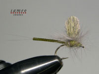 Mayfly dun