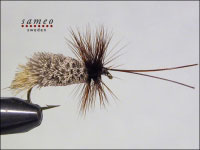 Goddard Sedge Special