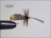 Goddard Sedge Special