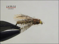 Diving Caddis