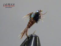 Pheasant Tail Flash Back