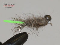 Peeping Caddis light green tail