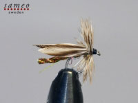 Wonder Winged Gnat
