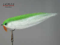 Big Bait feeder parrot