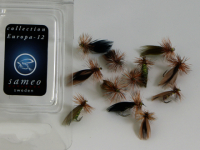 Collection - Europa 12